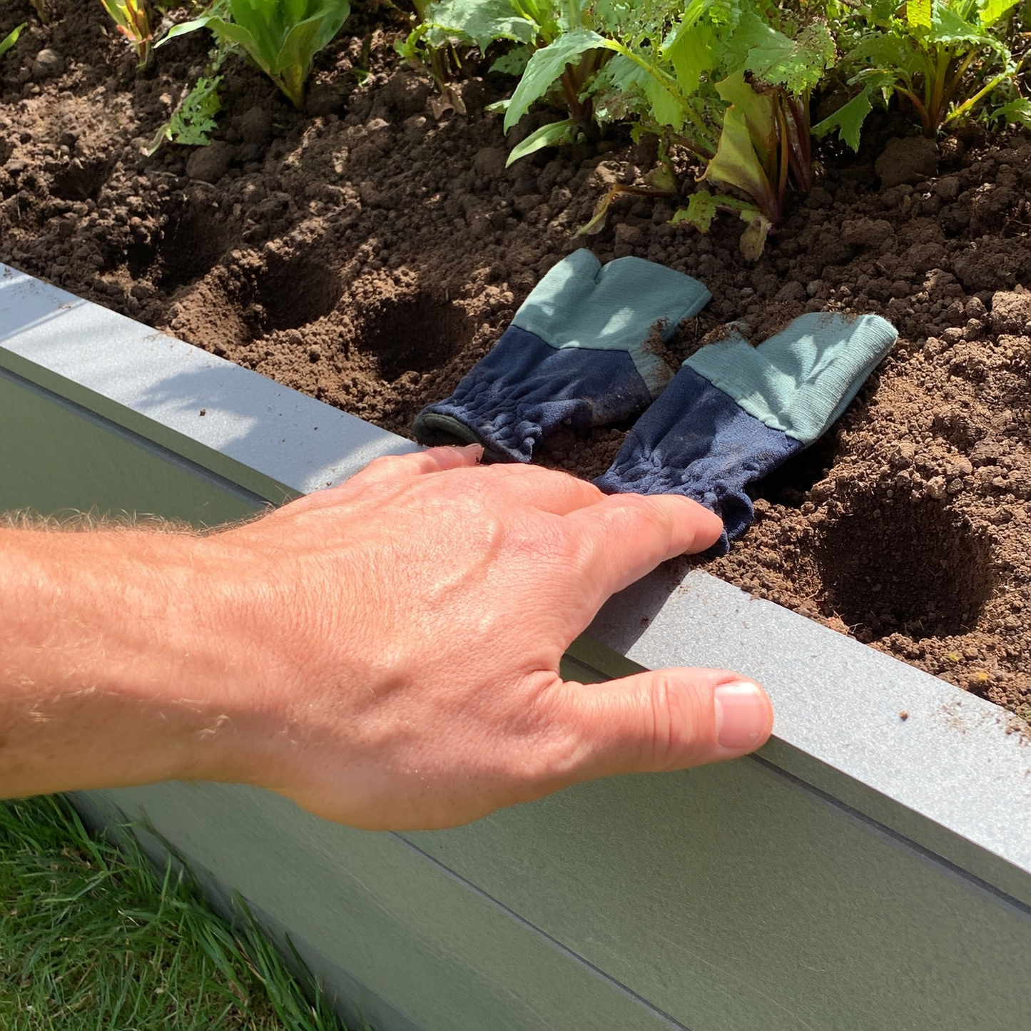 AFFOS Garden Seeding Square - Perfect Plant Spacing Tool