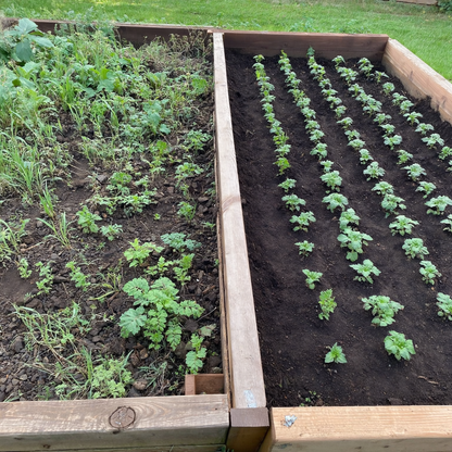 AFFOS Garden Seeding Square - Perfect Plant Spacing Tool